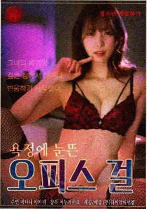王冠历史剧封面